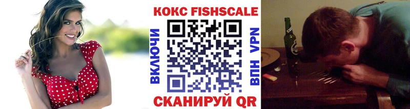 дарнет шоп  Сухиничи  Кокаин Fish Scale 
